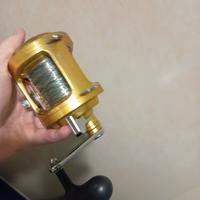 mulinello italcanna gladiator traina altura o vivo