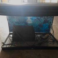 Acquario 60 litri completo