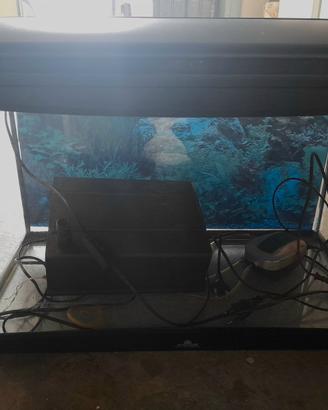 Acquario 60 litri completo