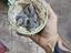 Immagine 1