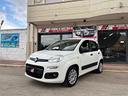 fiat-panda-1-2-lounge