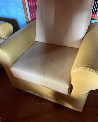 Coppia Poltrone