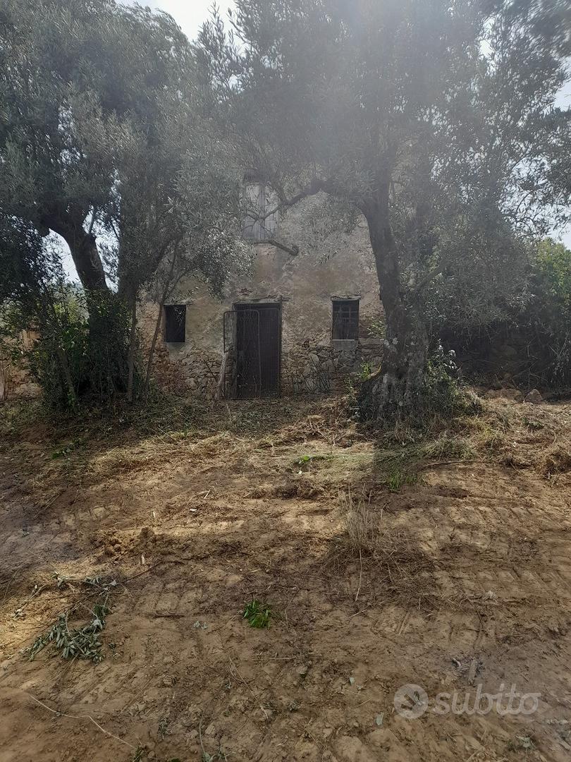 Terreno agricolo con due casolari - Vista 6