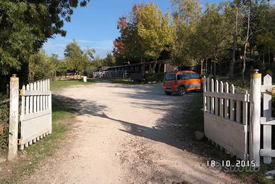 Terreno box , pensione cavalli