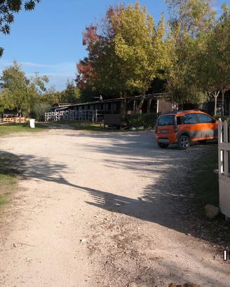 Terreno box , pensione cavalli