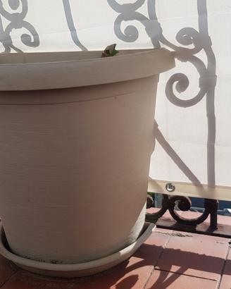 6 grandi vasi da balcone con sottovaso