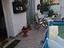 Immagine 6