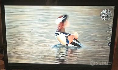 Lenovo Tab M11 Whit Tab Pen 