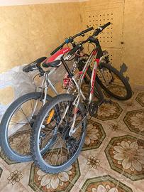 Biciclette bmx in coppia