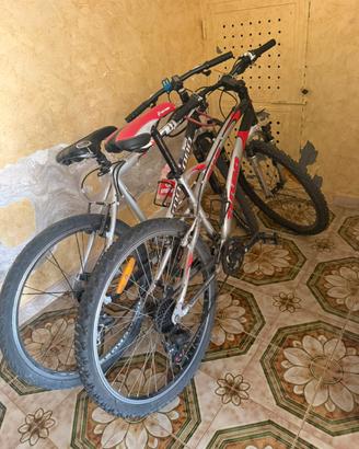 Biciclette bmx in coppia