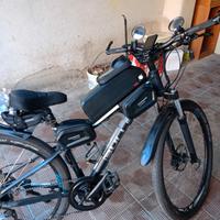 bici pedalata assistita 