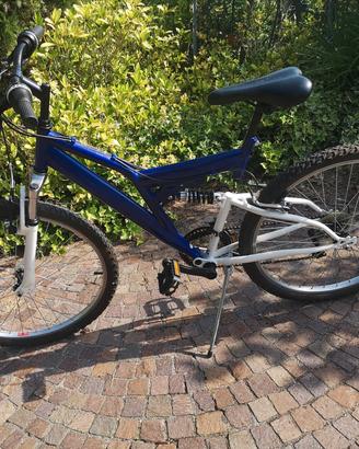 bicicletta