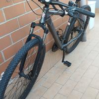 bicicletta Alpina uomo 