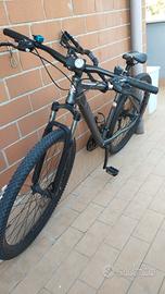bicicletta Alpina uomo 