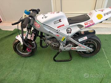 Minimoto replica polini
