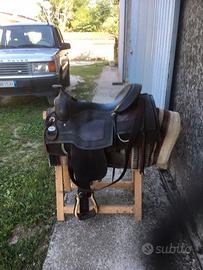 Sella western Moran's