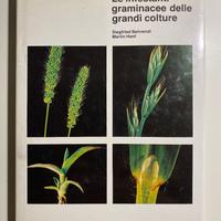 Le infestanti graminacee delle grandi colture.