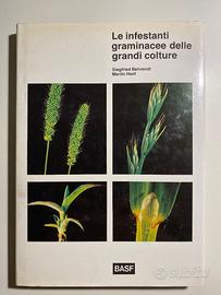 Le infestanti graminacee delle grandi colture.