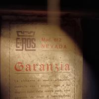 chitarra acustica nevada
