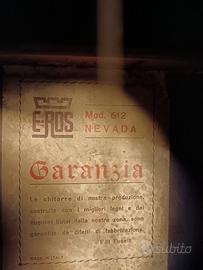 chitarra acustica nevada