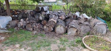 Legna da ardere in tronchi