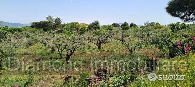 Terreno agricolo 3.200mq zona doc a castiglione - Altro