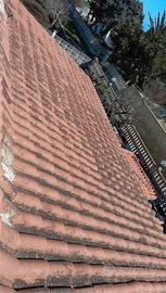 Tegole portoghesi in terracotta 