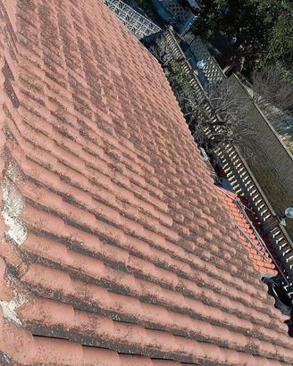 Tegole portoghesi in terracotta 