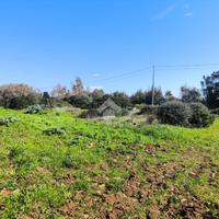 TER. AGRICOLO A SASSARI