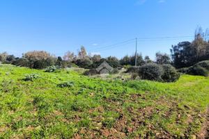 TER. AGRICOLO A SASSARI