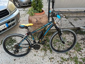 Mountainbike 24 lombardo