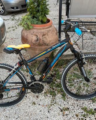 Mountainbike 24 lombardo