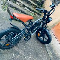 Bicicletta elettrica