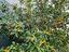 Immagine 26