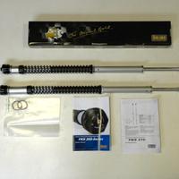 Coppia molle forcella e cartucce Ohlins per Triump