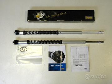 Coppia molle forcella e cartucce Ohlins per Triump