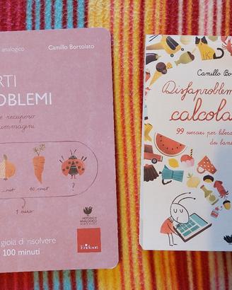 Libri matematica Bortolato Erickson 