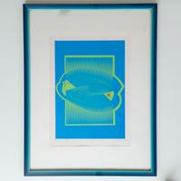 Quadro serigrafia autore Alberto Biasi