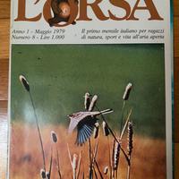 Rivista natura vintage l’orsa