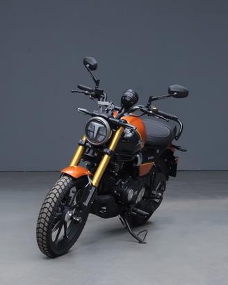 TVS MOTOR Ronin 250