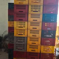 Casse raccolta uva o frutta