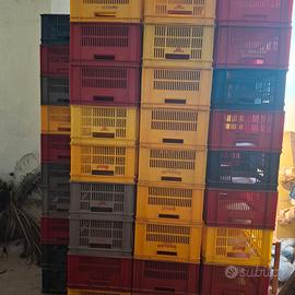 Casse raccolta uva o frutta