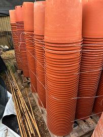 Vasi vivaio o fuori suolo