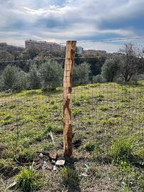 Oliveto non del tutto pianeggiante