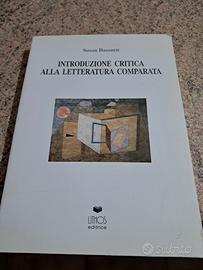 libro introduzione critica alla letteratura