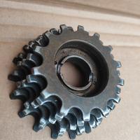 regina oro 6 velocità 