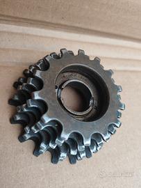 regina oro 6 velocità 