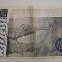 Settimanale riflessi