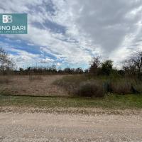 TERRENO AGRICOLO