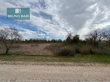 TERRENO AGRICOLO